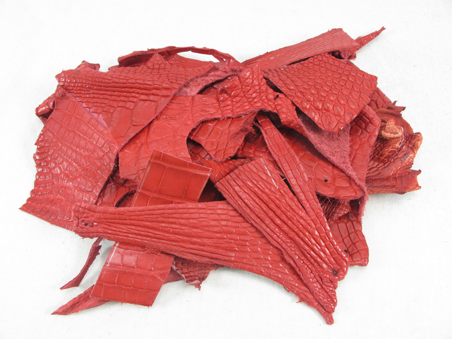 Genuine Crocodile Skin Leather Scraps Hide Pelt 100 grams