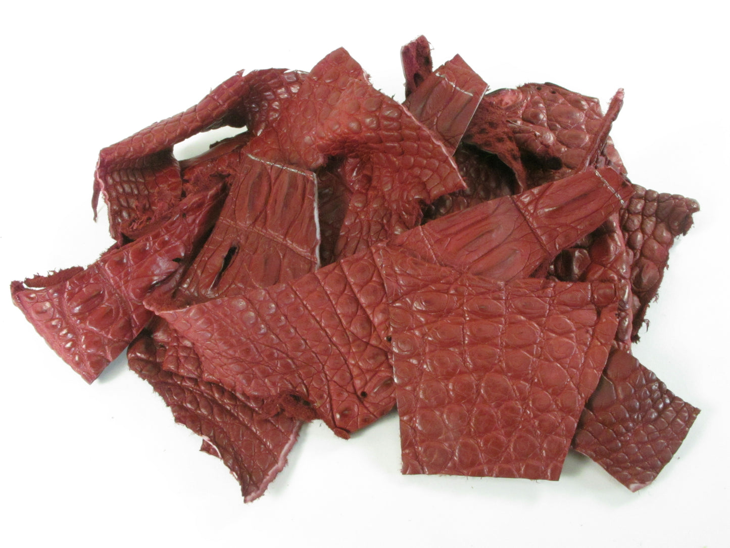 Genuine Crocodile Skin Leather Scraps Hide Pelt 100 grams