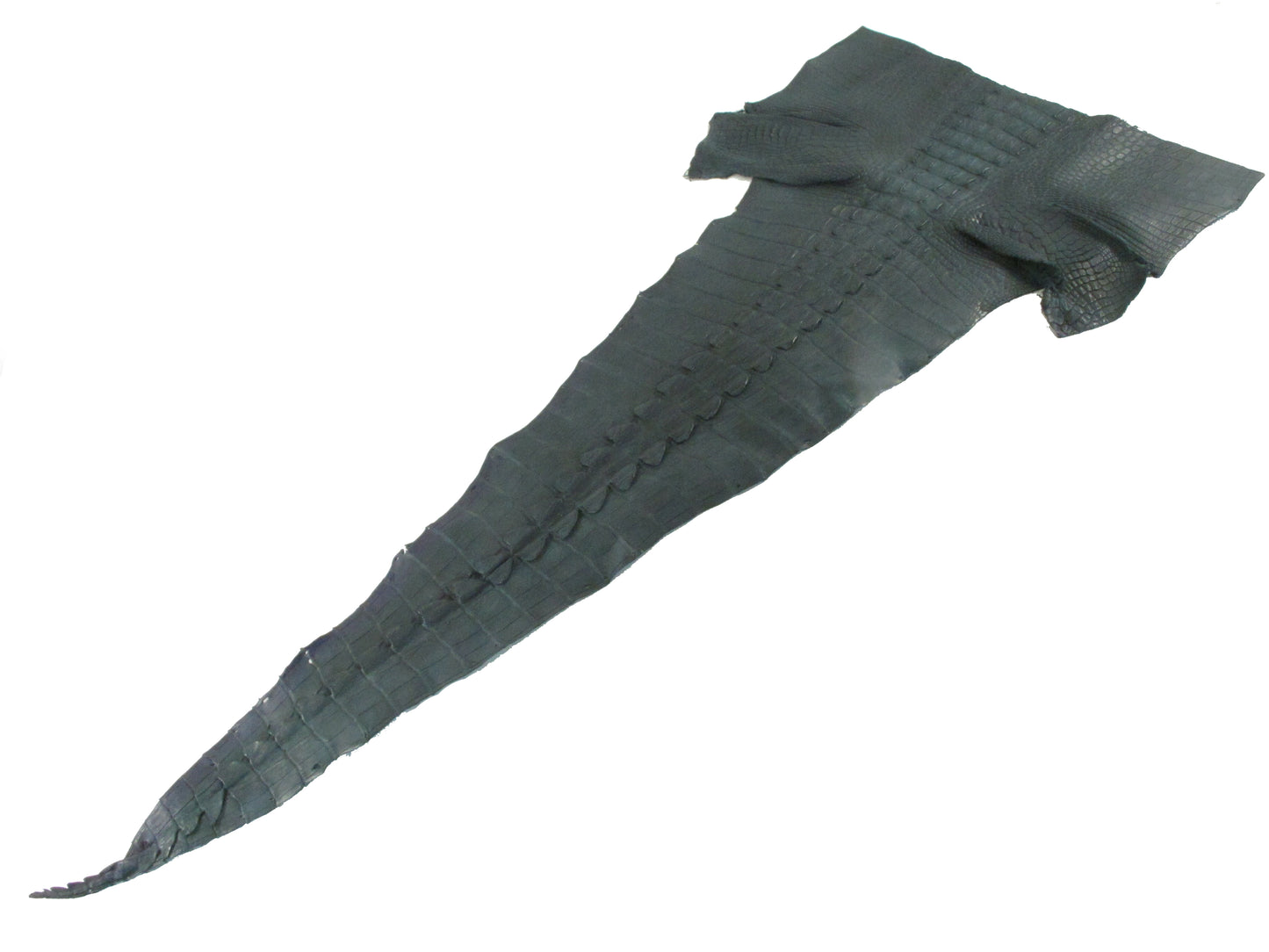 Genuine Crocodile Tail Skin Leather Hide Pelt
