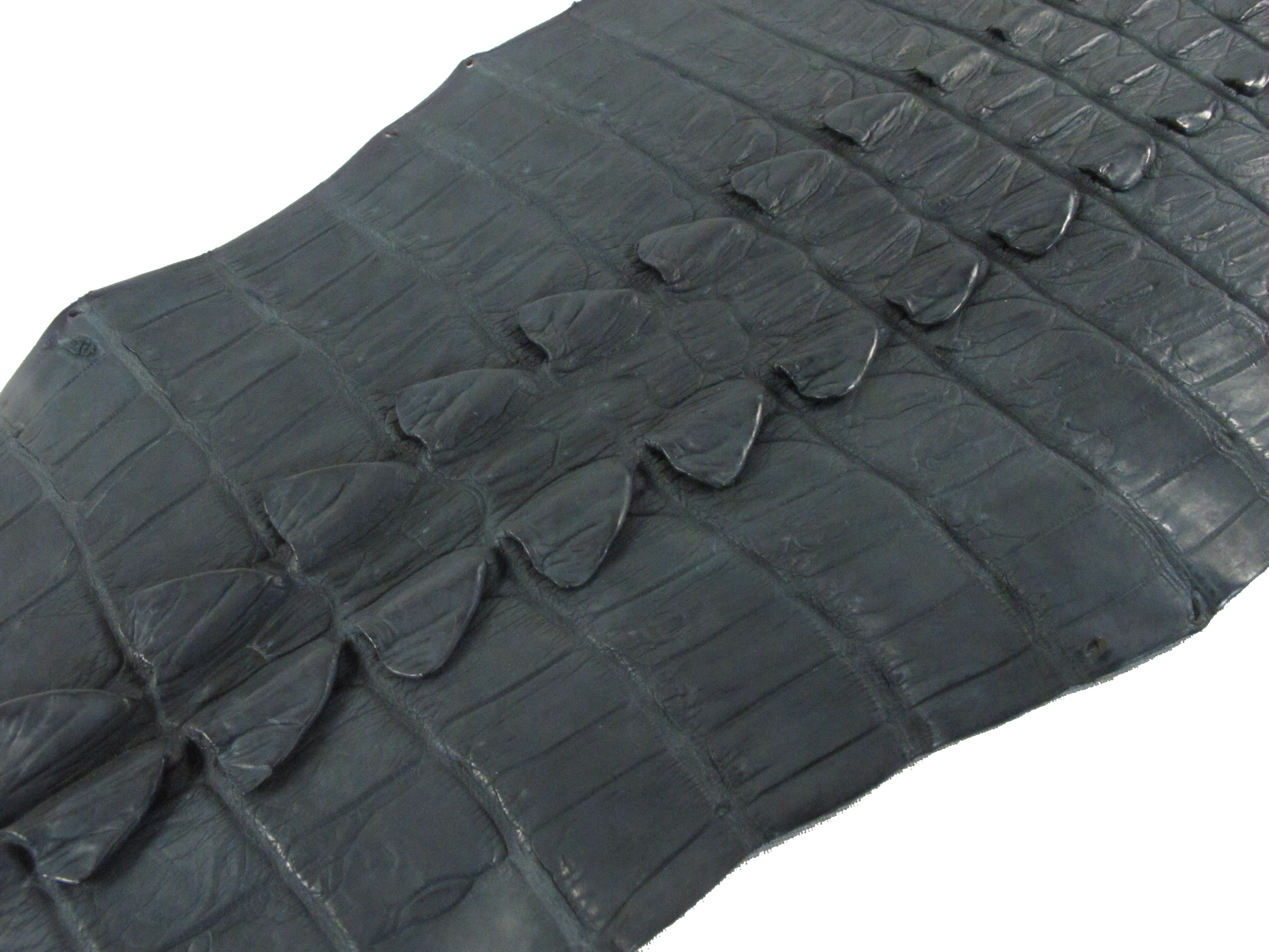 Genuine Crocodile Tail Skin Leather Hide Pelt Pelgio 