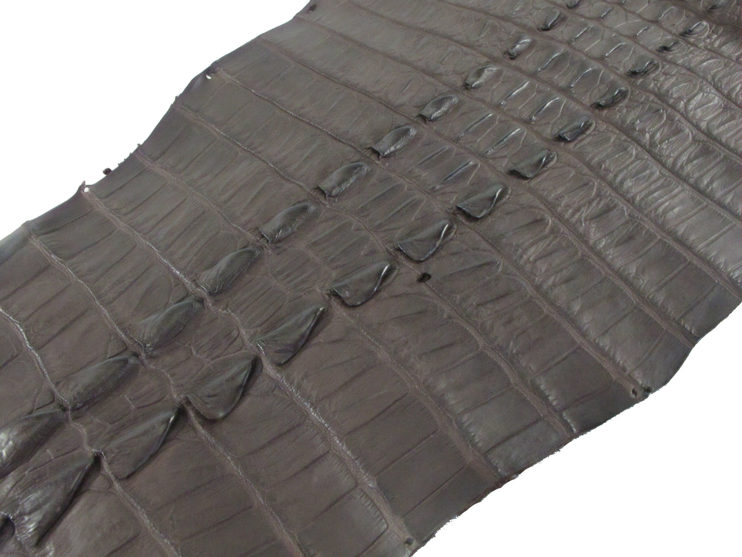 Genuine Crocodile Tail Skin Leather Hide Pelt