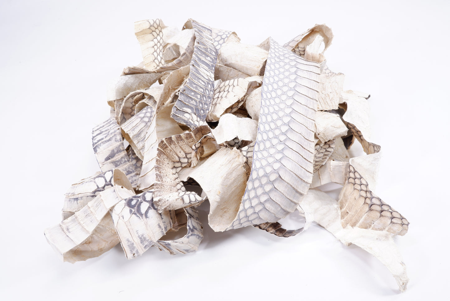Genuine Cobra Snake Skin Leather Scraps Hide Pelt 100 grams