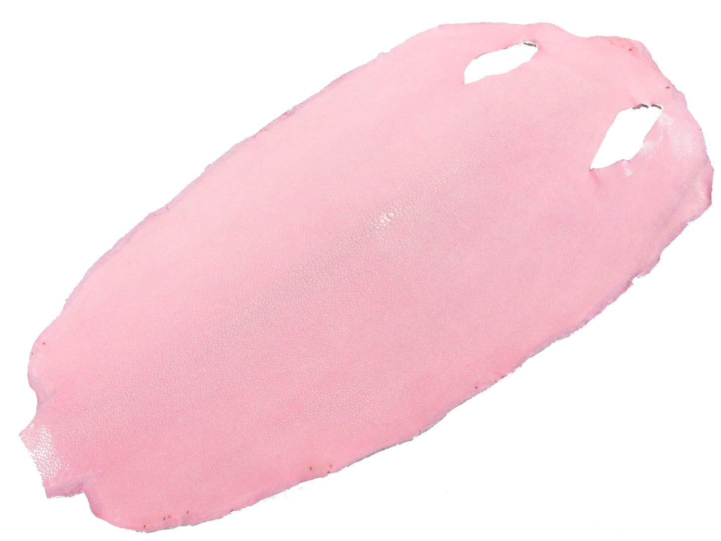 Genuine Polished Stingray Skin Leather Round Shape Hide Pelt Pink