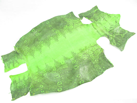Genuine Water Monitor Lizard Belly Skin Leather Hide Pelt Neon Green