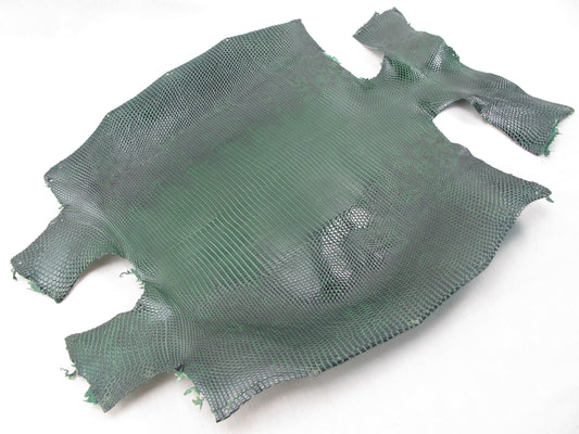 Genuine Water Monitor Lizard Belly Skin Leather Hide Pelt Moss Green