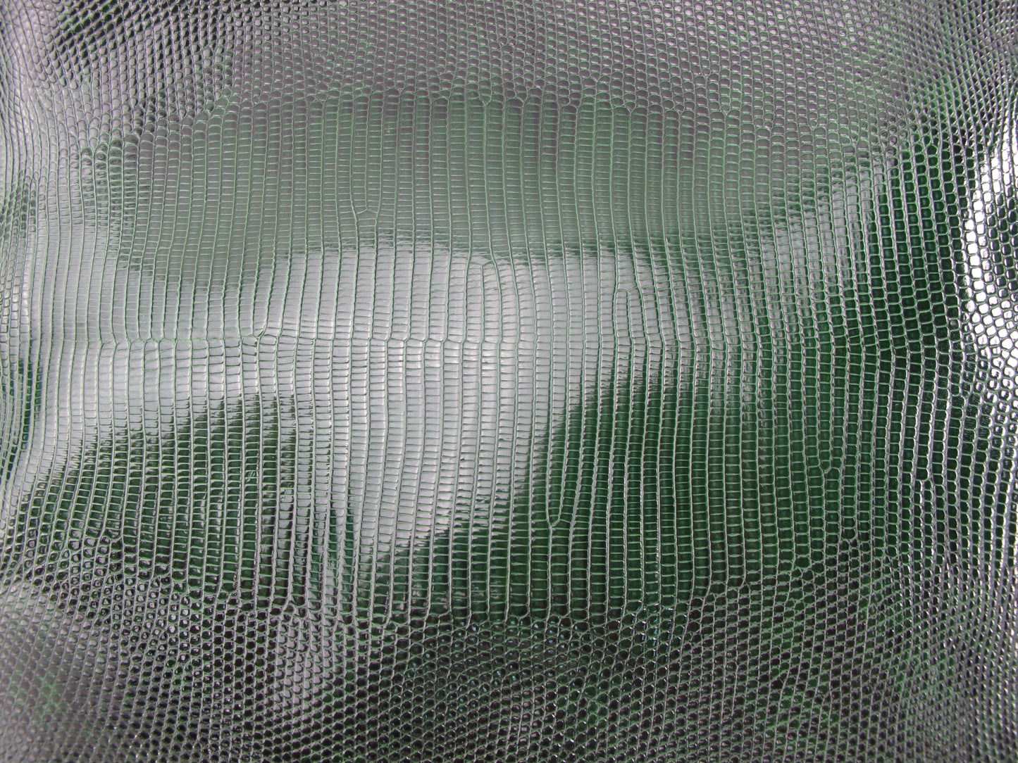 Genuine Water Monitor Lizard Belly Skin Leather Hide Pelt Moss Green