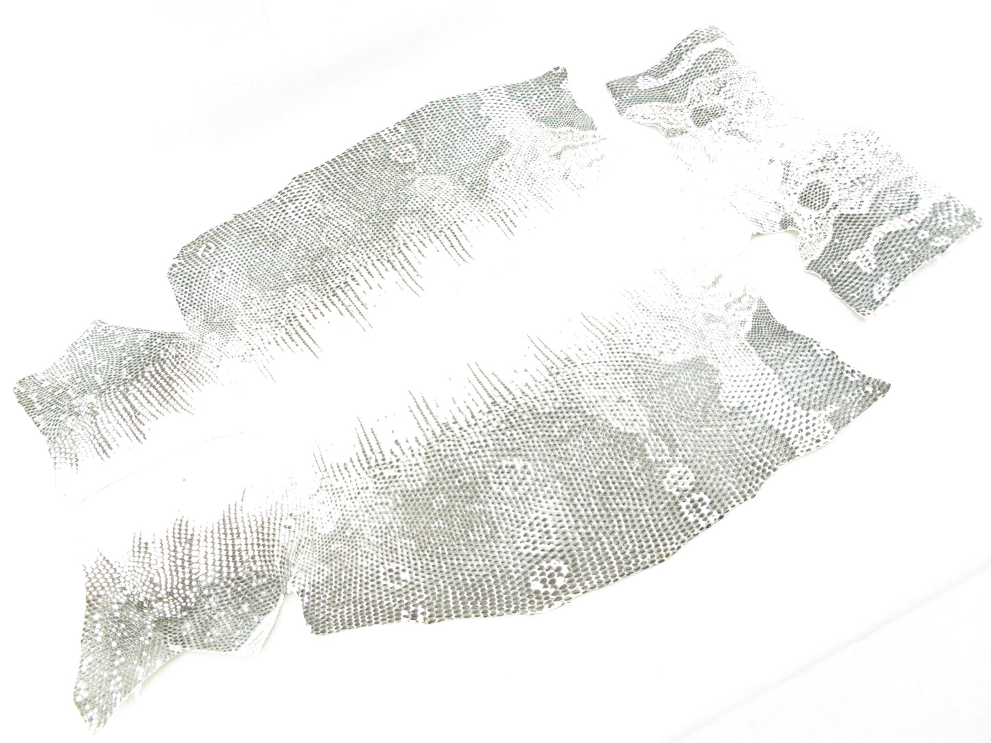 Genuine Water Monitor Lizard Belly Skin Leather Hide Pelt Natural