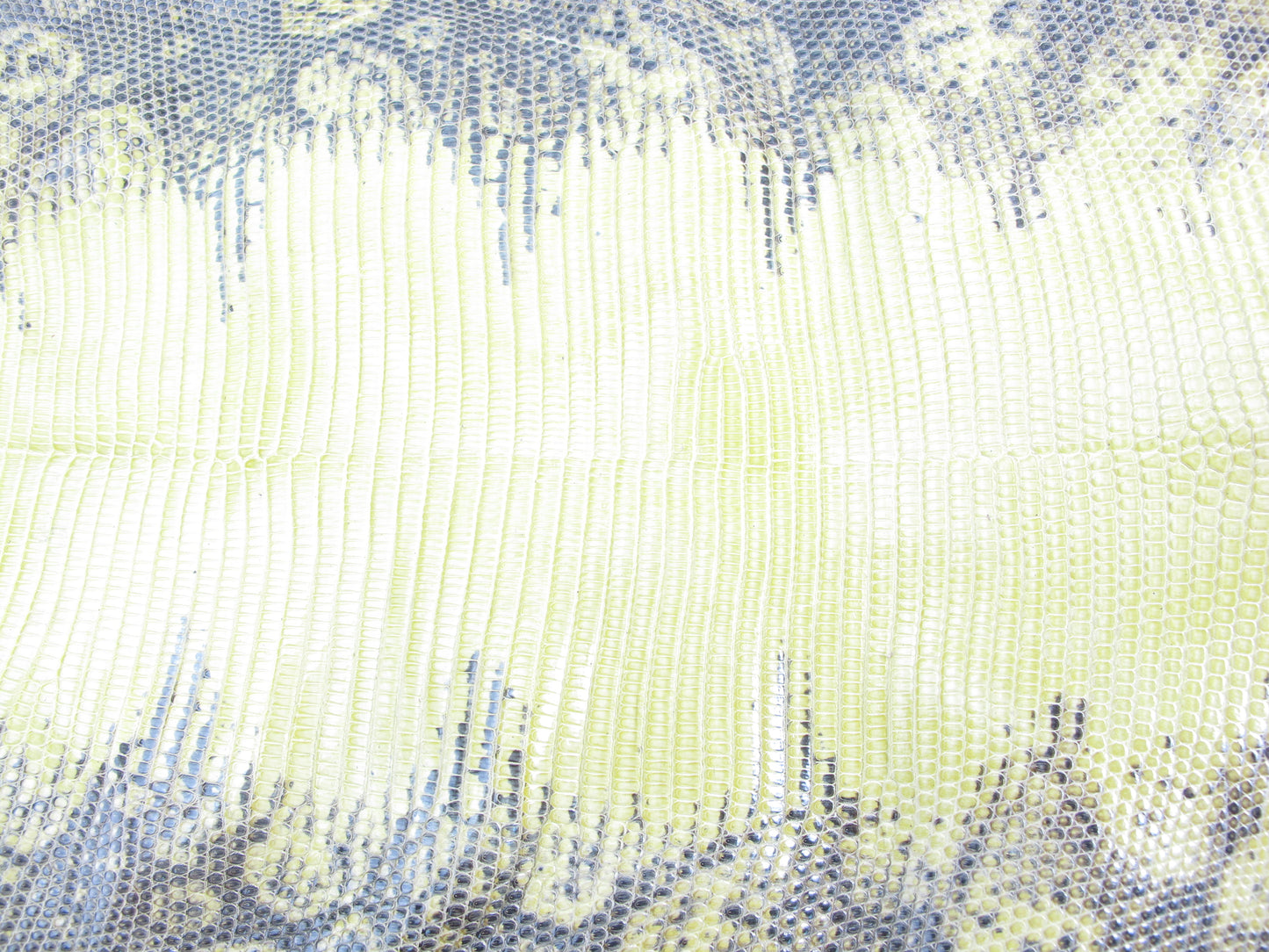 Genuine Water Monitor Lizard Belly Skin Leather Hide Pelt Sulfur Yellow