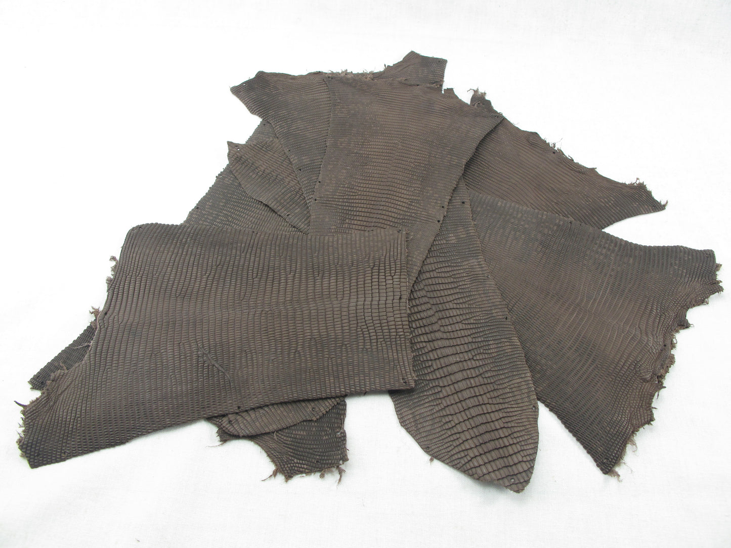 Genuine Lizard Skin Leather Scraps Hide Pelt 100 grams
