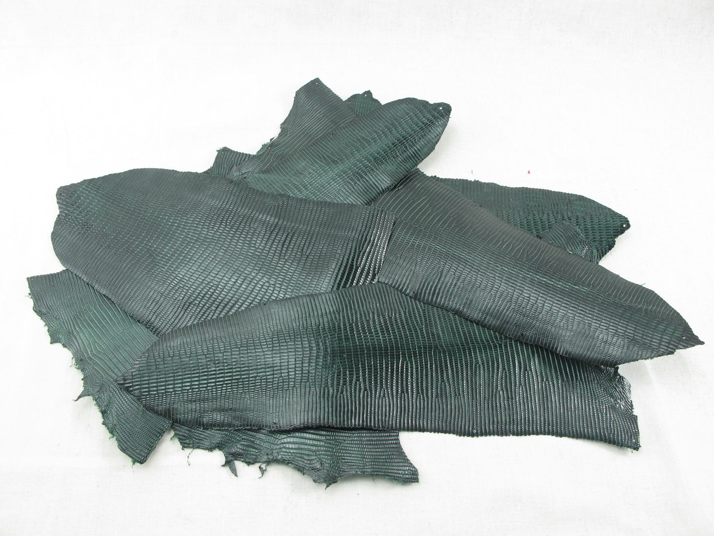 Genuine Lizard Skin Leather Scraps Hide Pelt 100 grams