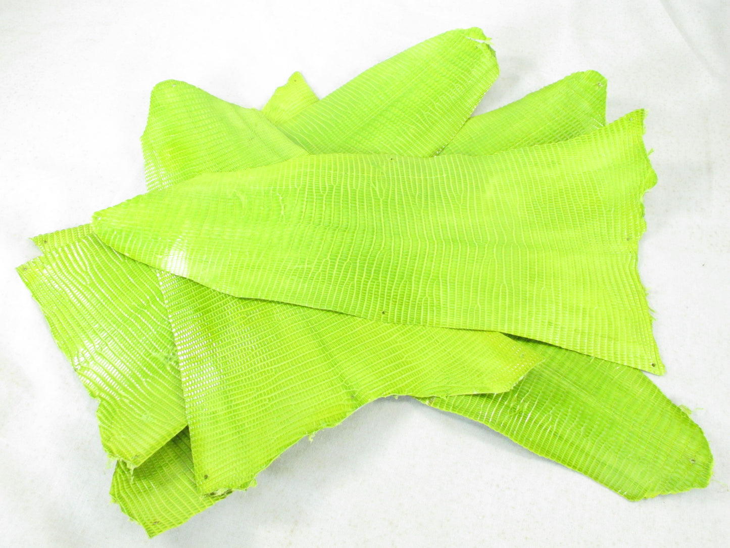 Genuine Lizard Skin Leather Scraps Hide Pelt 100 grams
