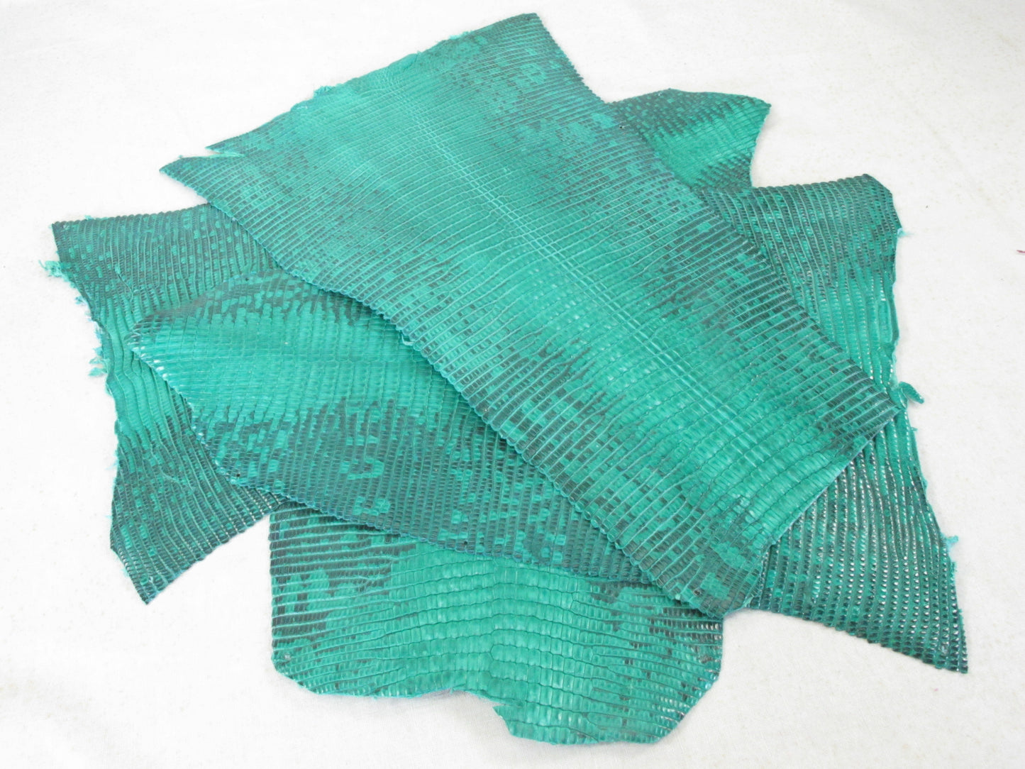 Genuine Lizard Skin Leather Scraps Hide Pelt 100 grams