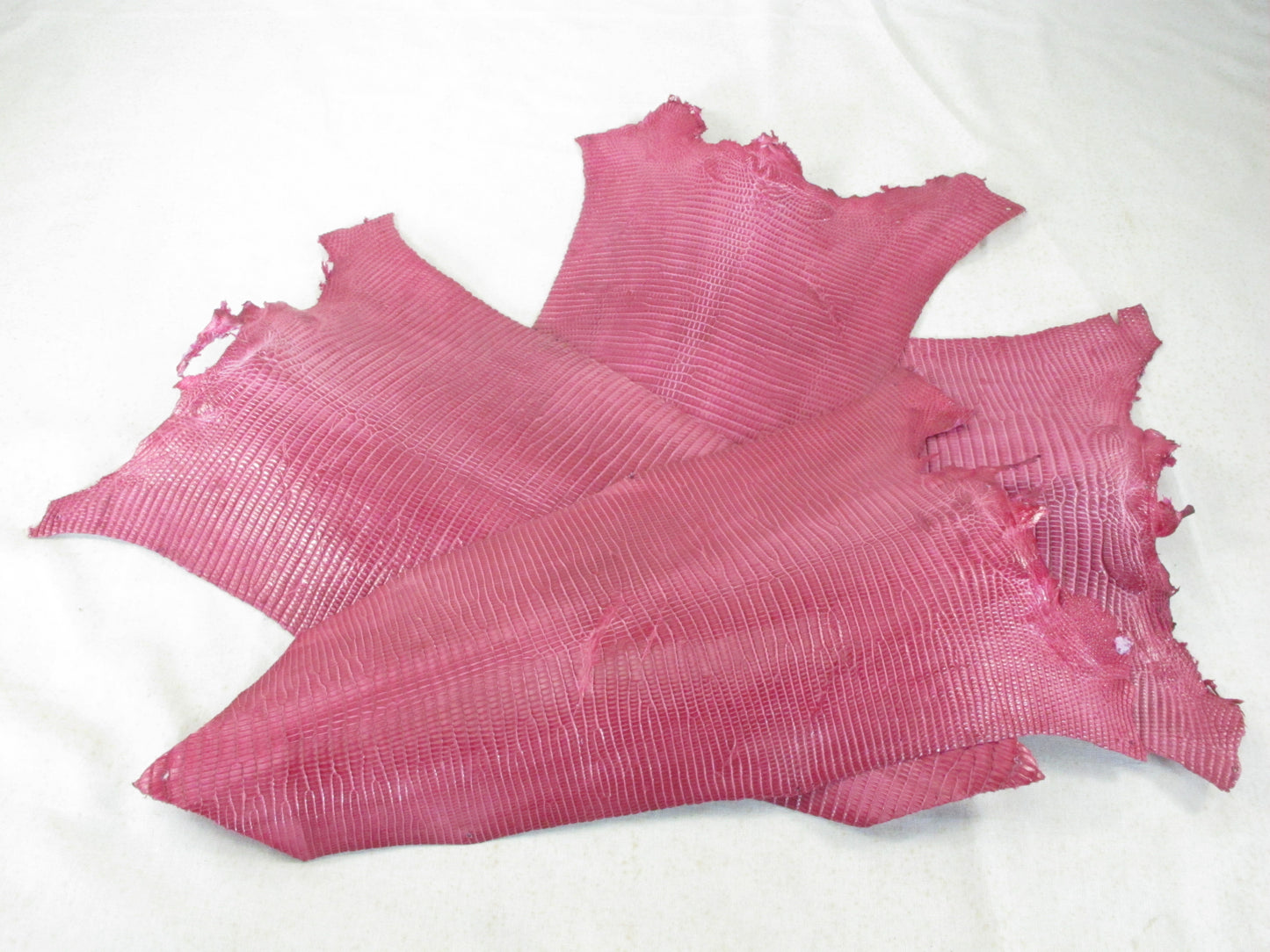 Genuine Lizard Skin Leather Scraps Hide Pelt 100 grams