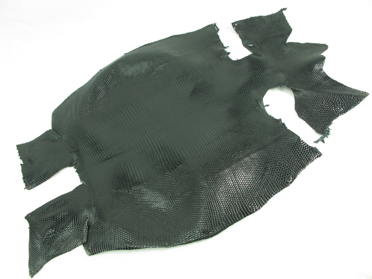 Genuine Water Monitor Lizard Belly Skin Leather Hide Pelt Black