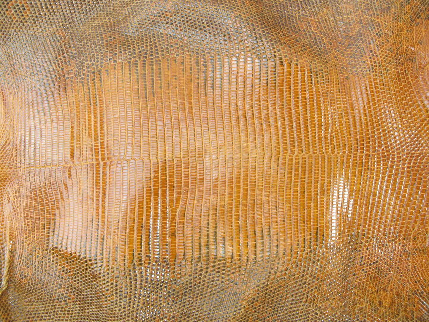 Genuine Water Monitor Lizard Belly Skin Leather Hide Pelt Clay Brown