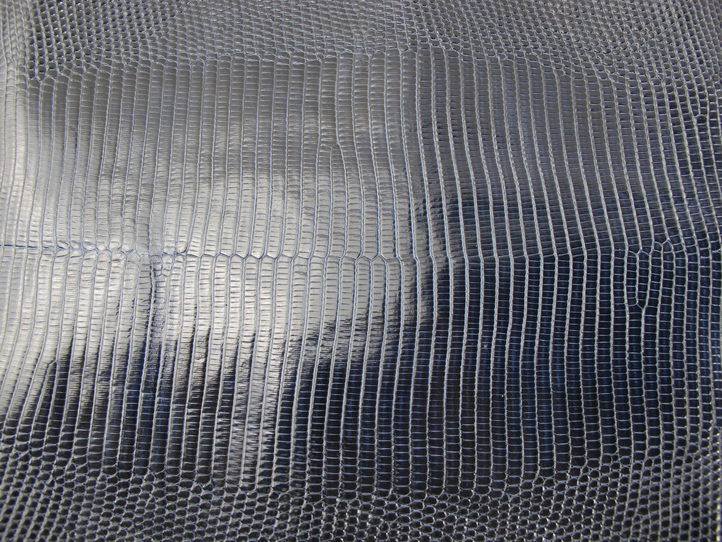 Genuine Water Monitor Lizard Belly Skin Leather Hide Pelt Steel Blue