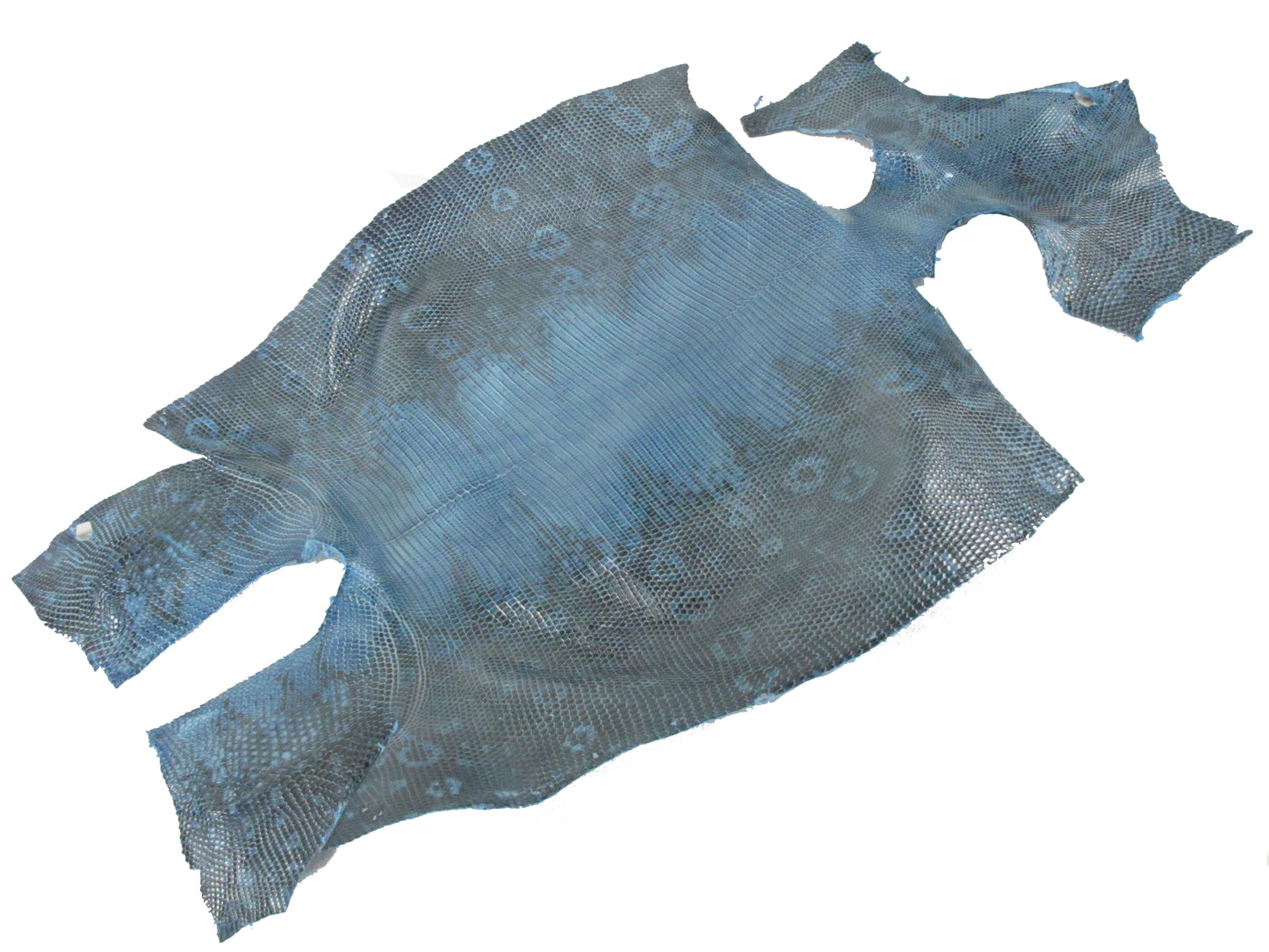 Genuine Water Monitor Lizard Belly Skin Leather Hide Pelt Green Blue