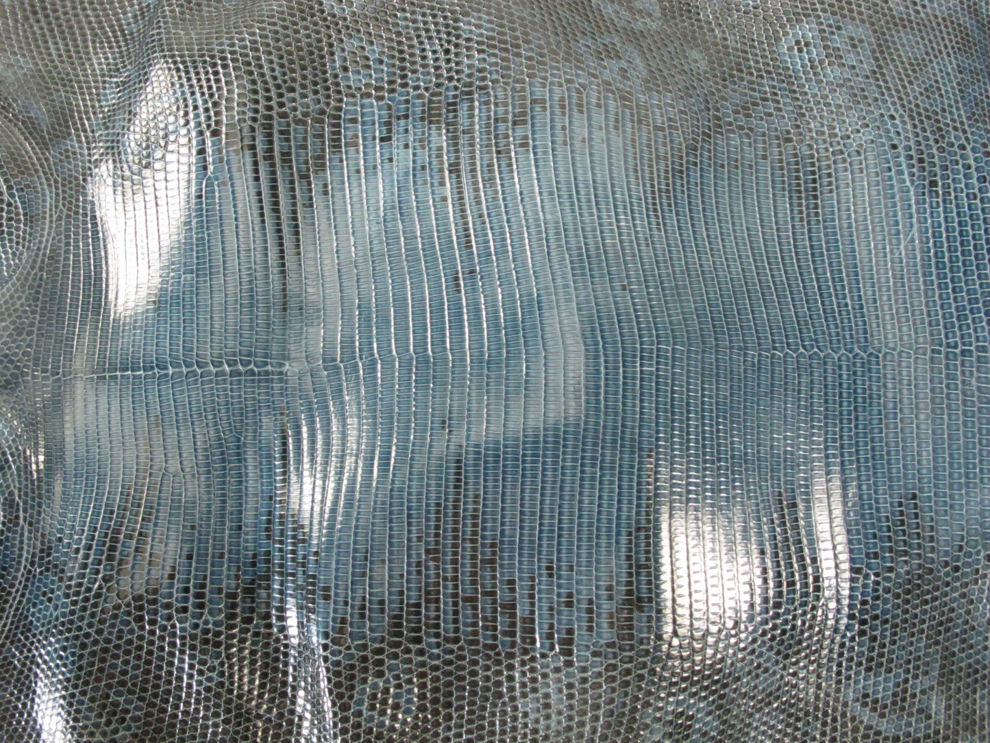 Genuine Water Monitor Lizard Belly Skin Leather Hide Pelt Green Blue