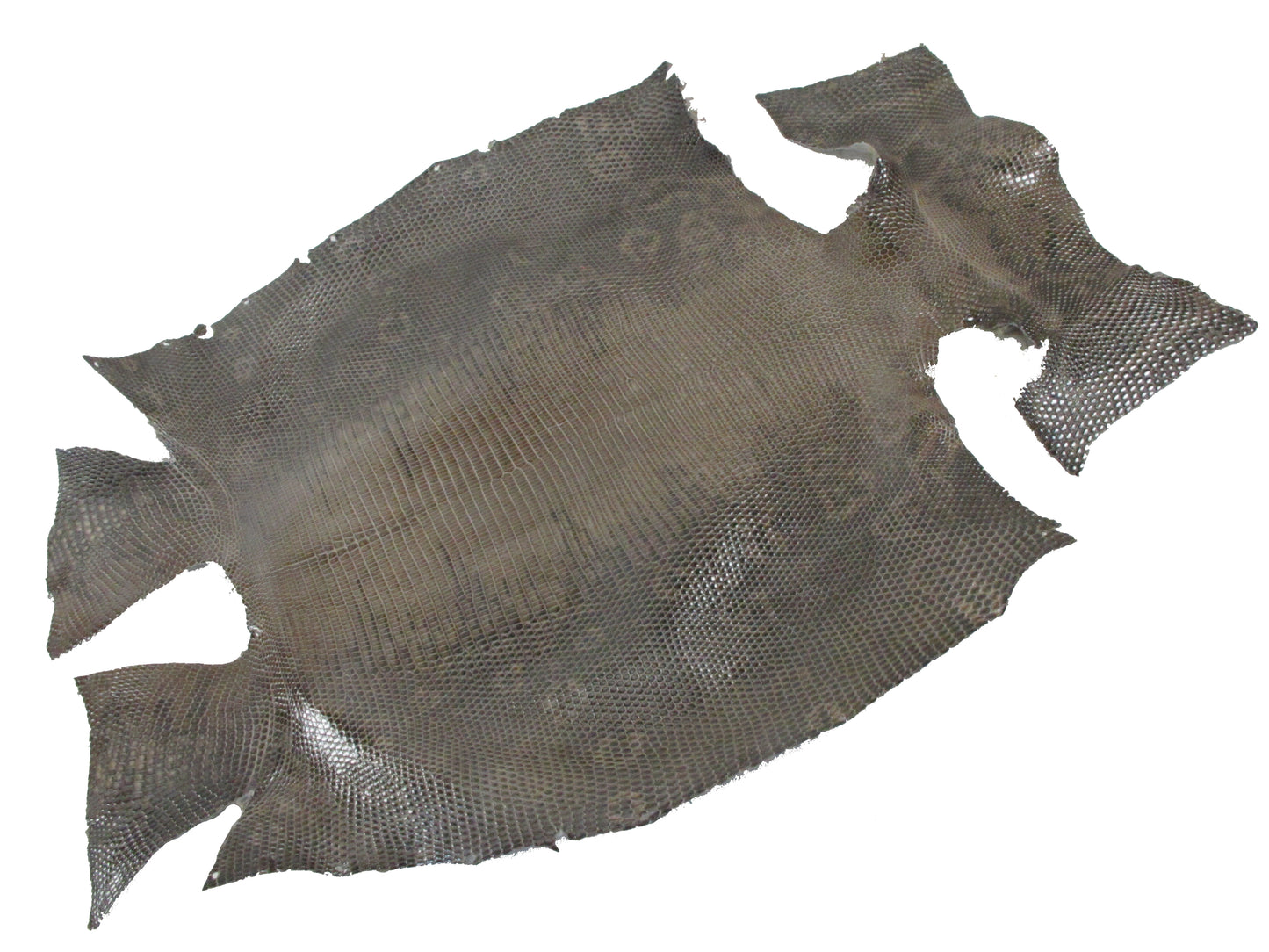 Genuine Water Monitor Lizard Belly Skin Leather Hide Pelt Brown Grey