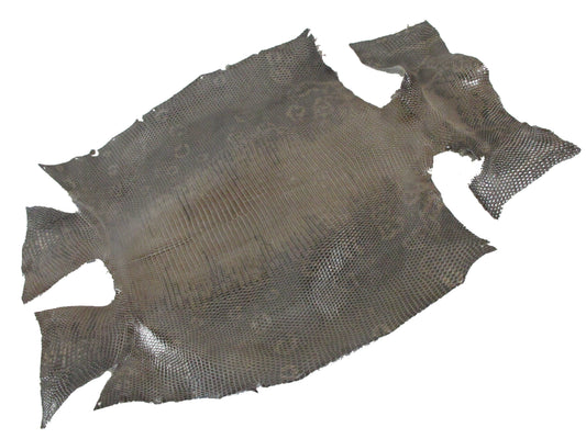 Genuine Water Monitor Lizard Belly Skin Leather Hide Pelt Brown Grey
