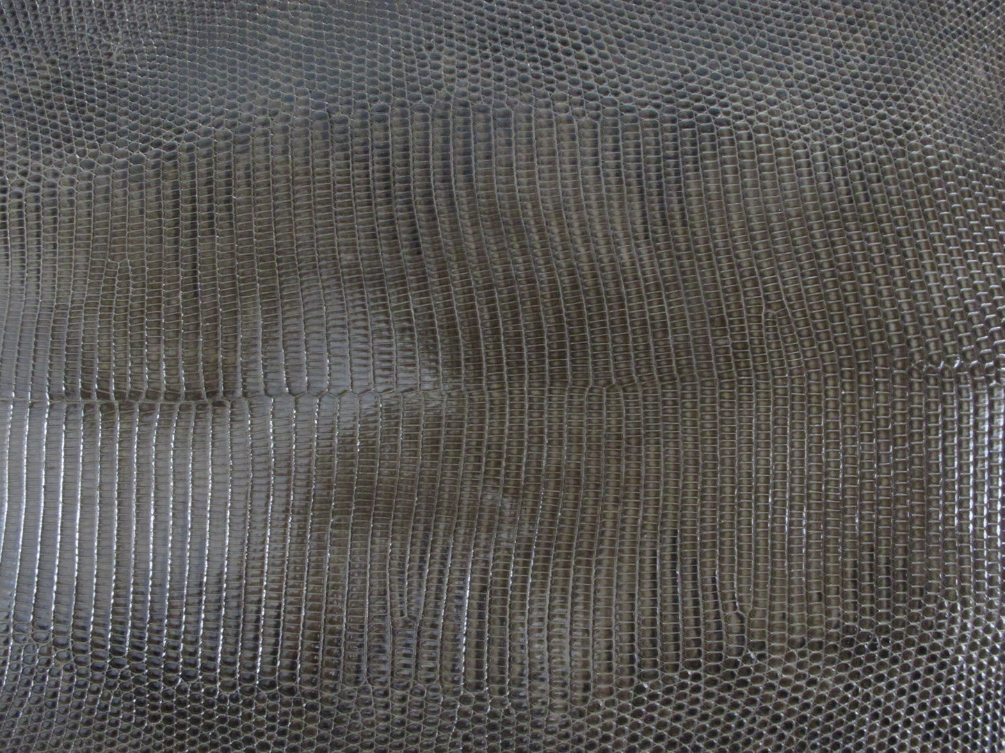 Genuine Water Monitor Lizard Belly Skin Leather Hide Pelt Brown Grey