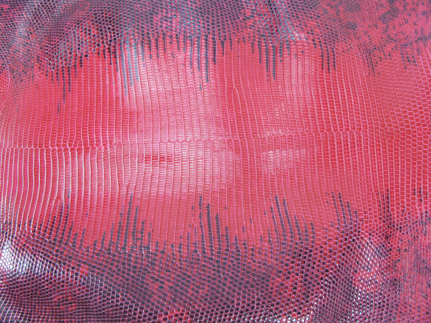 Genuine Water Monitor Lizard Belly Skin Leather Hide Pelt Raspberry Pink