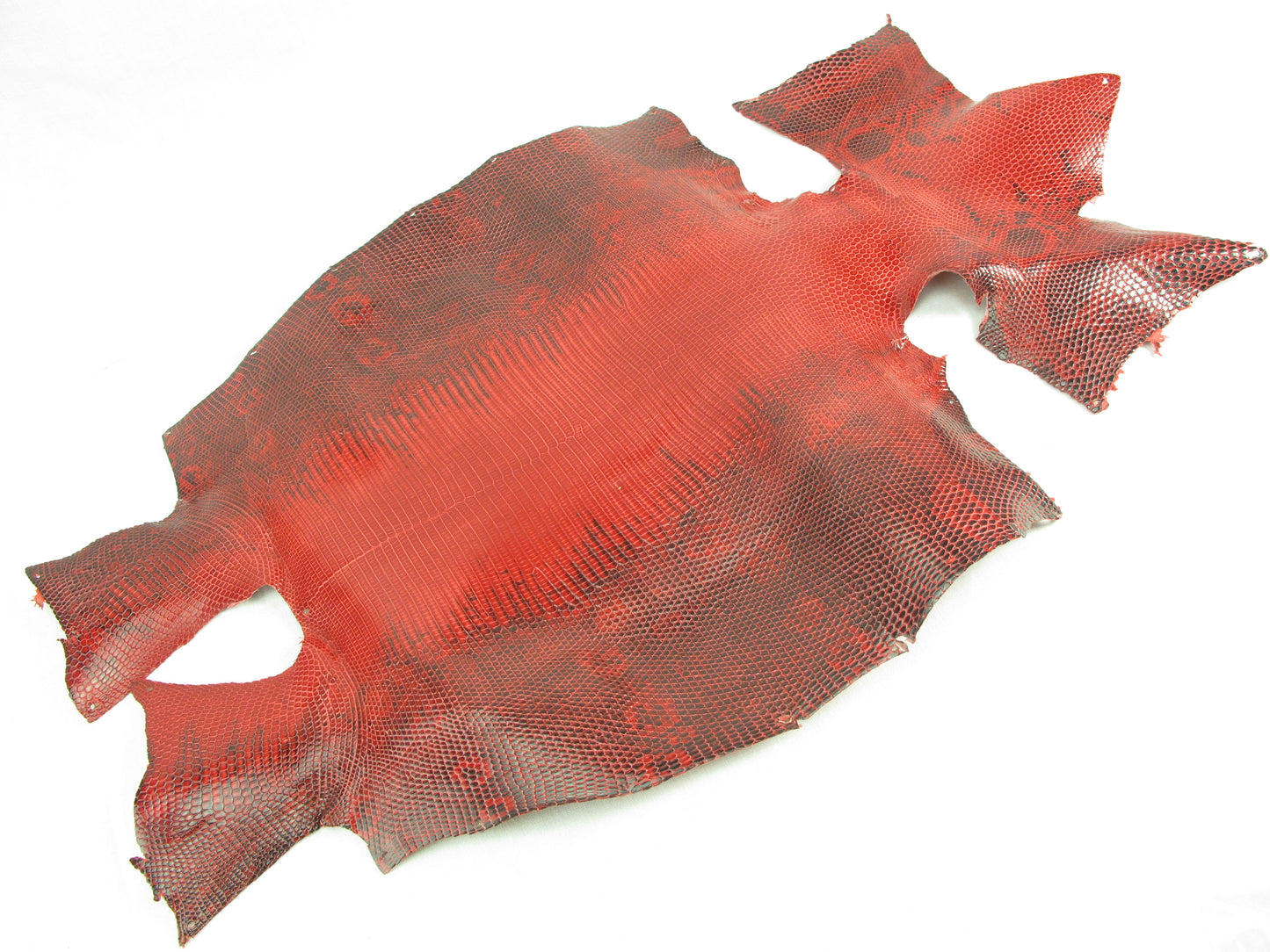 Genuine Water Monitor Lizard Belly Skin Leather Hide Pelt Carmine Red