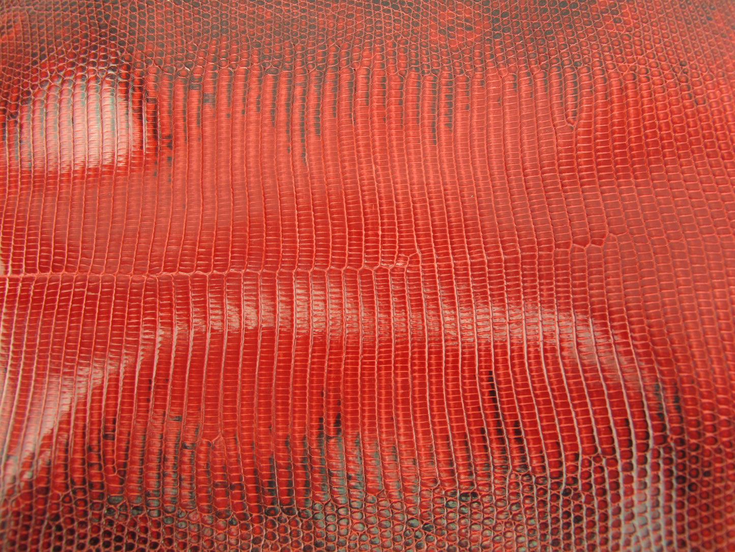 Genuine Water Monitor Lizard Belly Skin Leather Hide Pelt Carmine Red