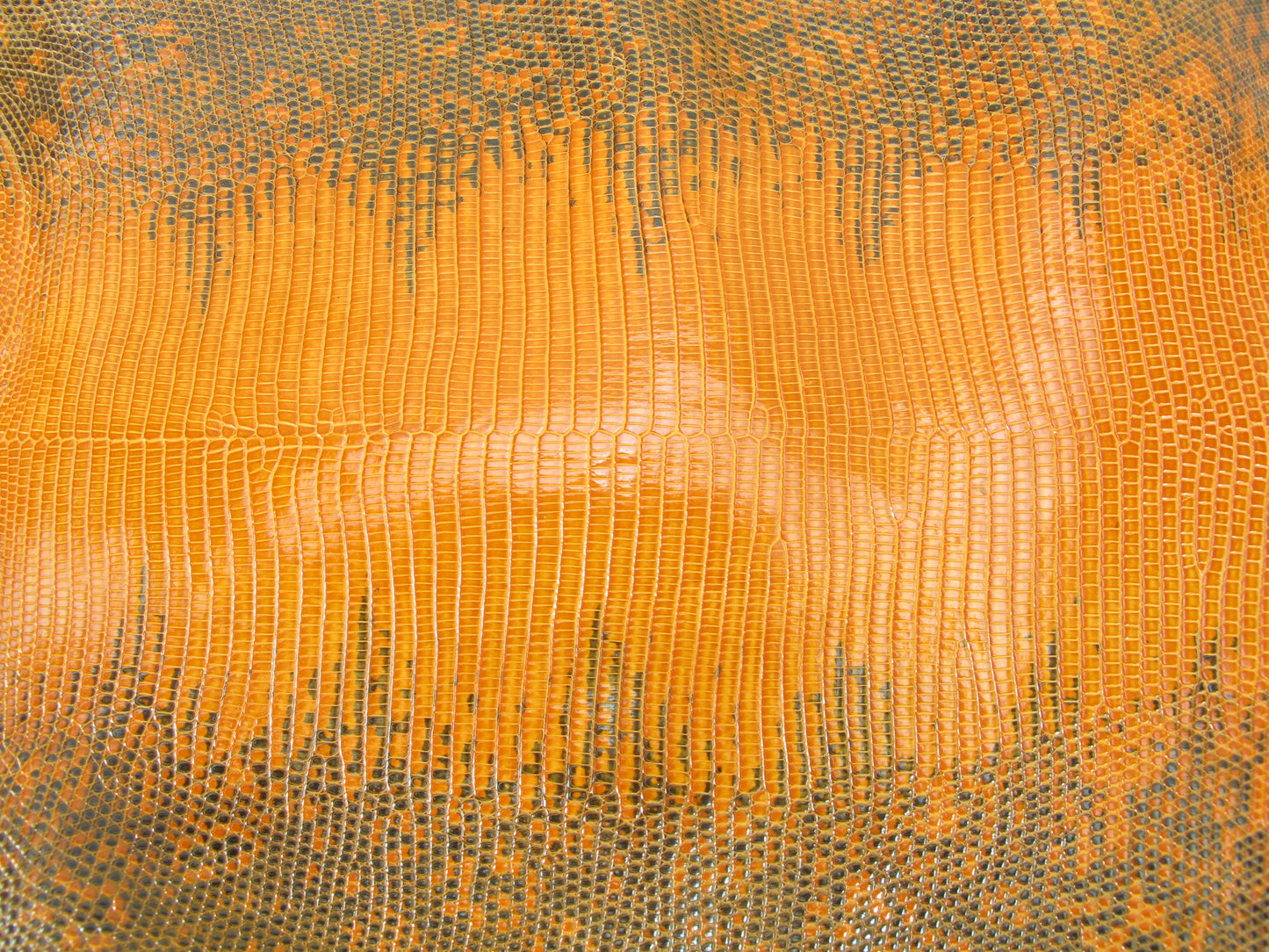 Genuine Water Monitor Lizard Belly Skin Leather Hide Pelt Traffic Orange