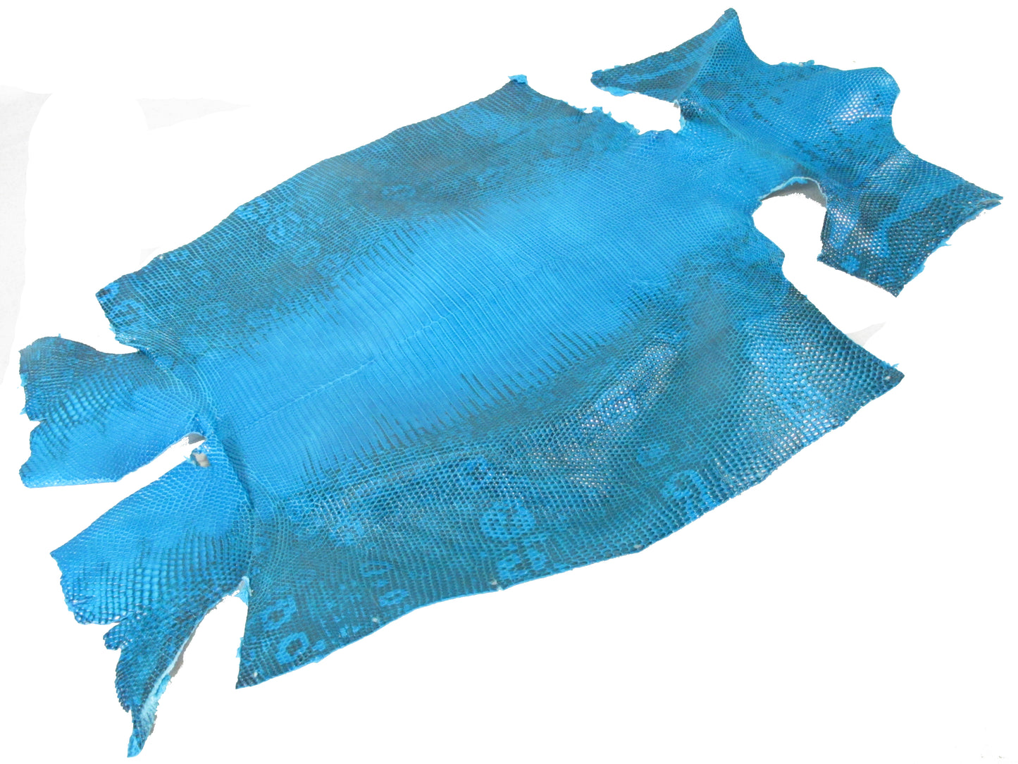 Genuine Water Monitor Lizard Belly Skin Leather Hide Pelt Sky Blue