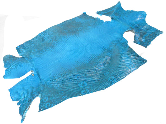 Genuine Water Monitor Lizard Belly Skin Leather Hide Pelt Sky Blue