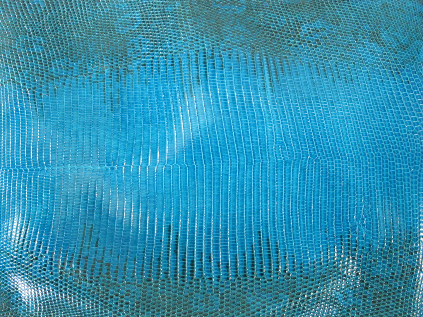 Genuine Water Monitor Lizard Belly Skin Leather Hide Pelt Sky Blue