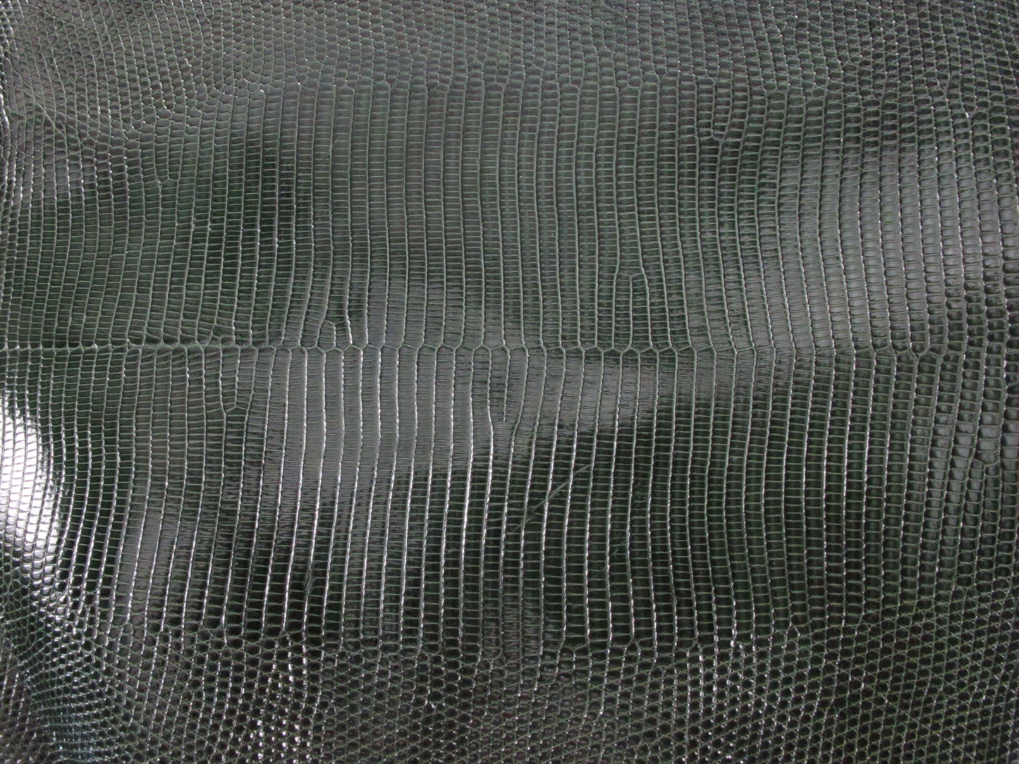 Genuine Water Monitor Lizard Belly Skin Leather Hide Pelt Fir Green