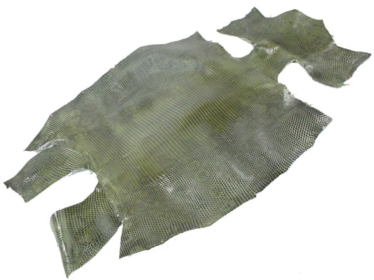 Genuine Water Monitor Lizard Belly Skin Leather Hide Pelt Chrome Green
