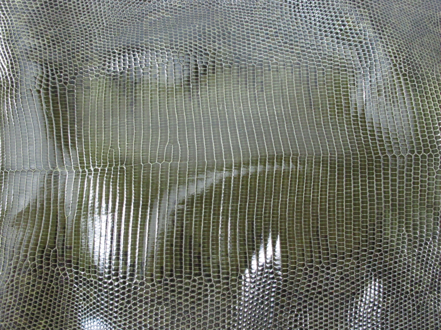 Genuine Water Monitor Lizard Belly Skin Leather Hide Pelt Chrome Green