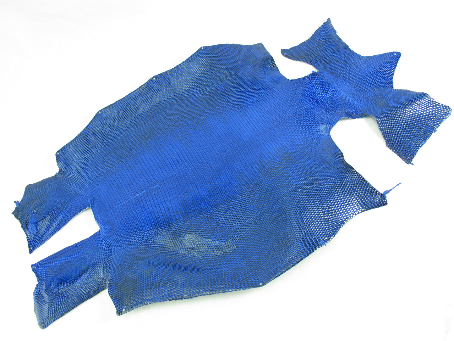 Genuine Water Monitor Lizard Belly Skin Leather Hide Pelt Ultramarine Blue
