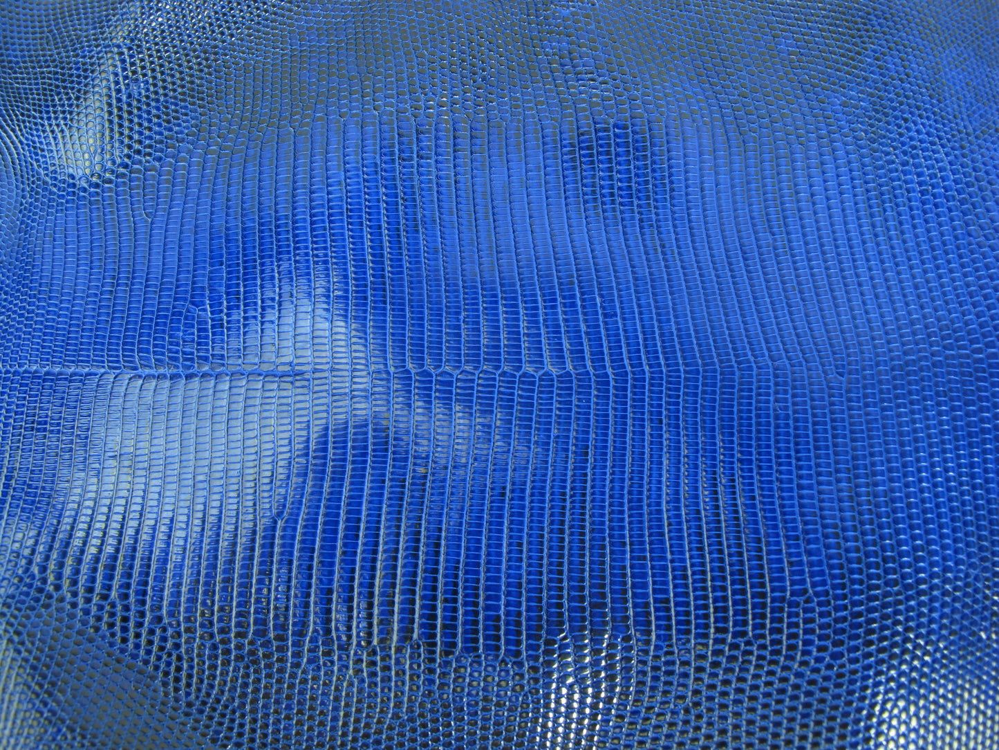 Genuine Water Monitor Lizard Belly Skin Leather Hide Pelt Ultramarine Blue