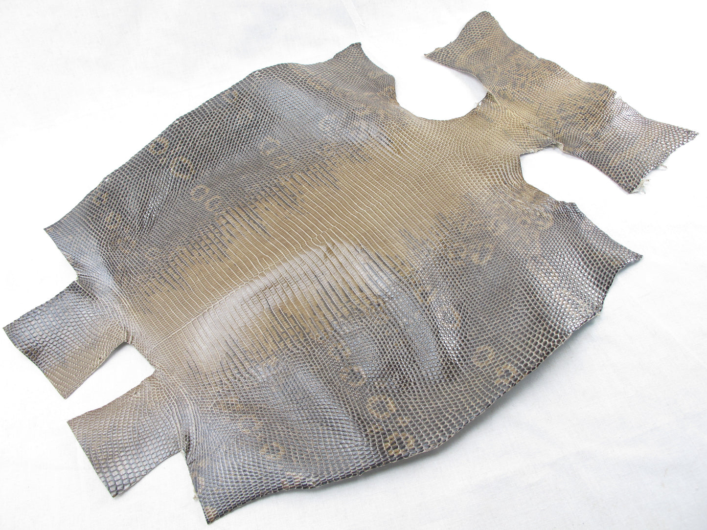 Genuine Water Monitor Lizard Belly Skin Leather Hide Pelt Olive Brown