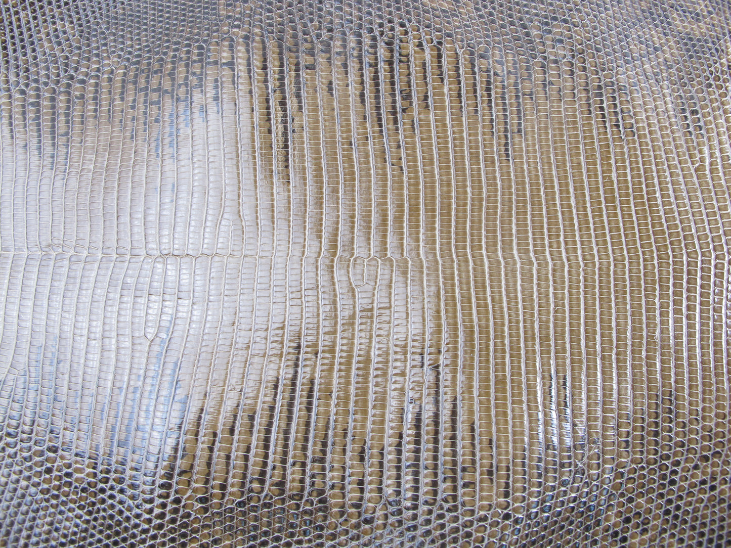 Genuine Water Monitor Lizard Belly Skin Leather Hide Pelt Olive Brown