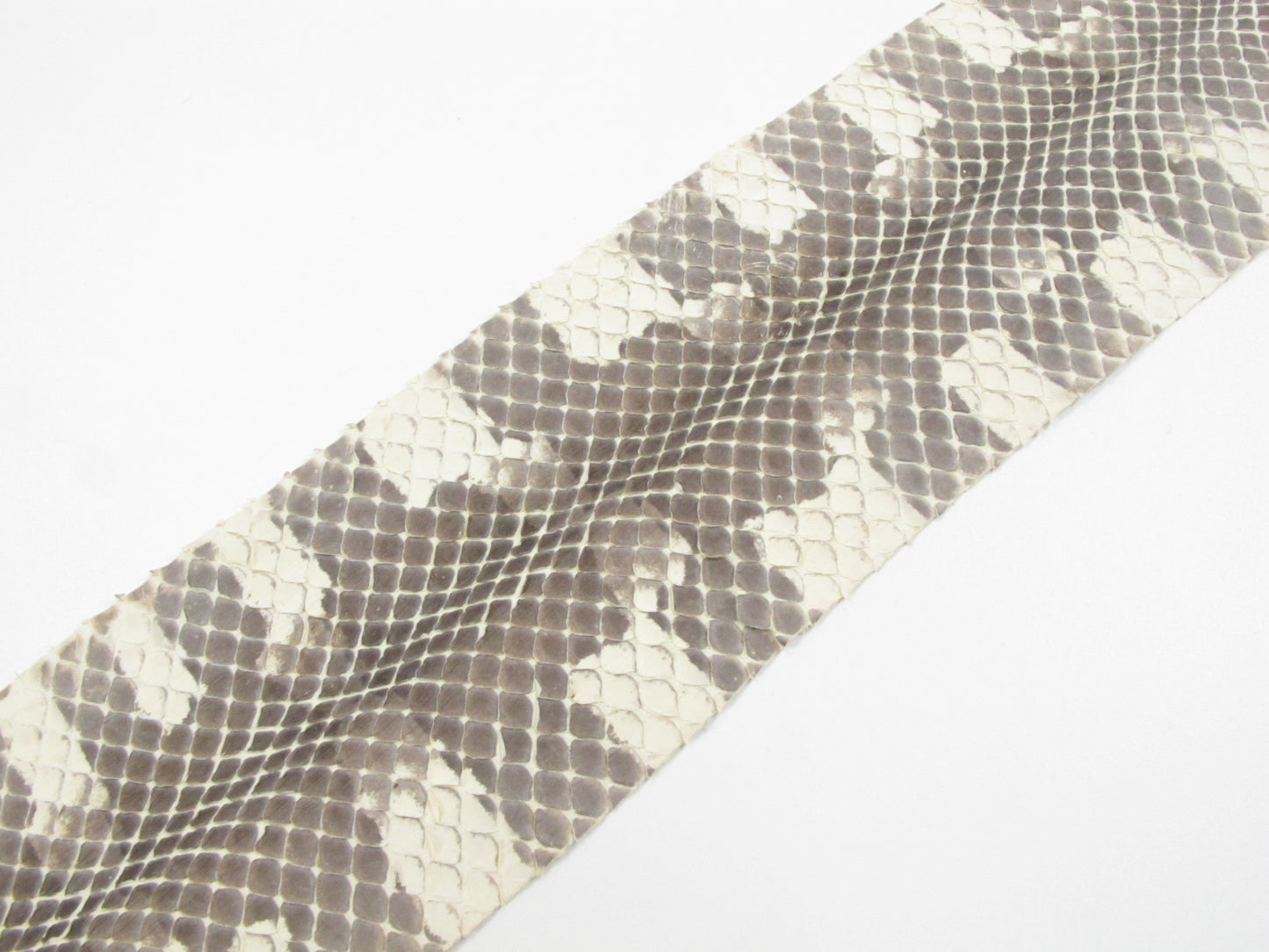 Genuine Pipe Snake Skin Leather Hide Pelt