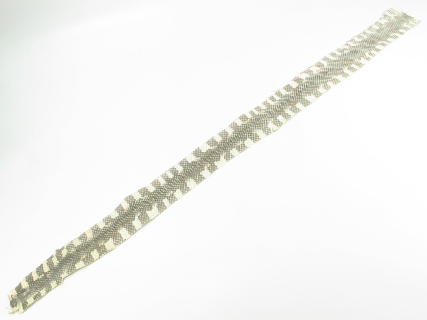 Genuine Pipe Snake Skin Leather Hide Pelt