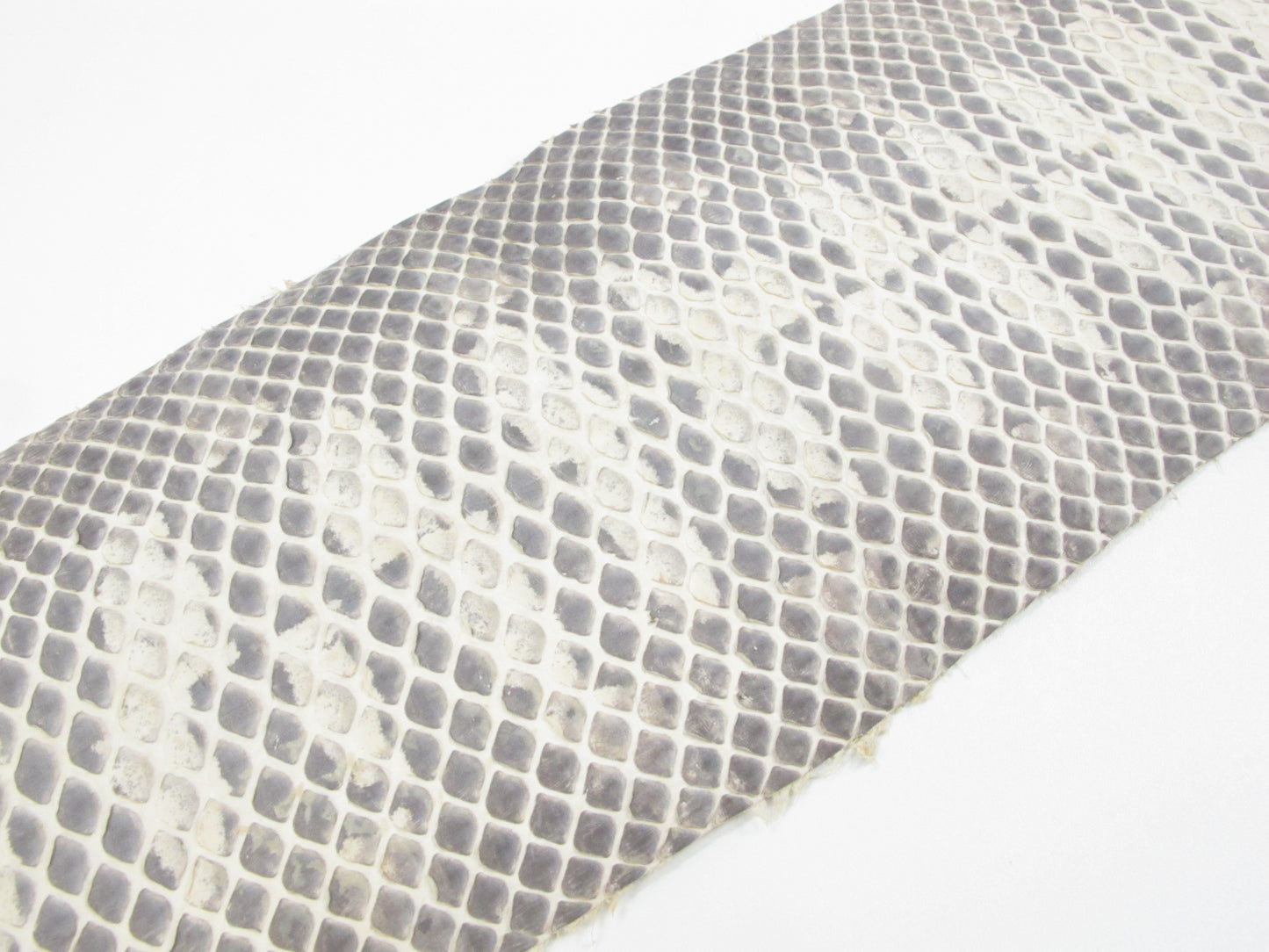 Genuine Pipe Snake Belly Skin Leather Hide Pelt