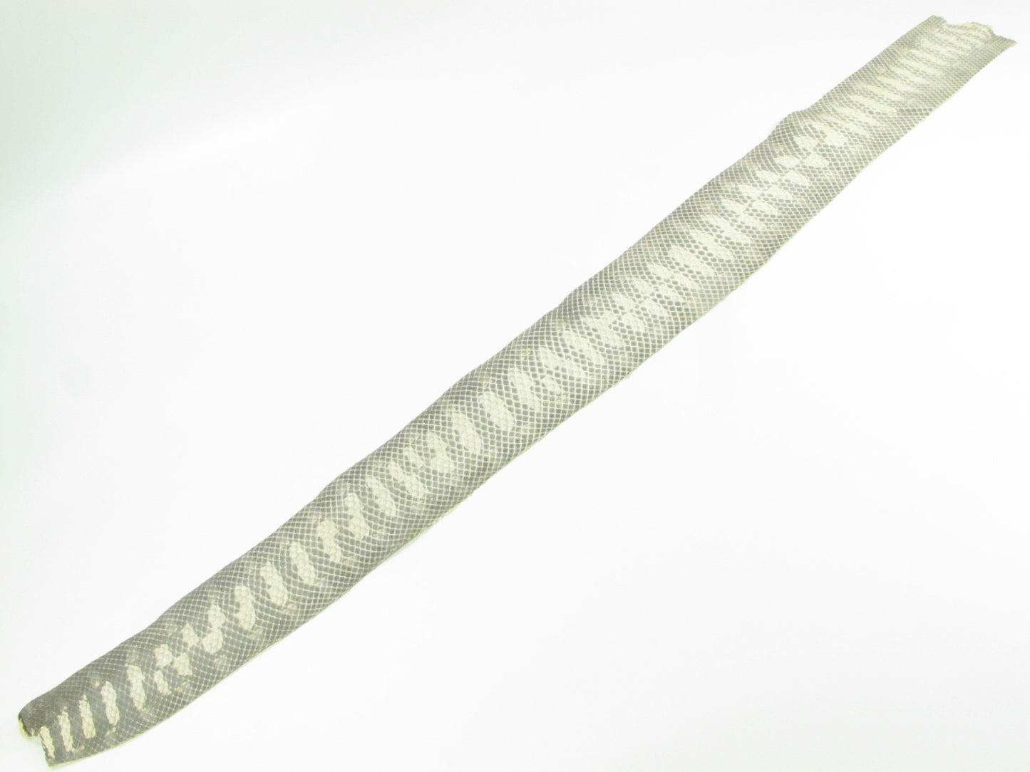 Genuine Pipe Snake Belly Skin Leather Hide Pelt