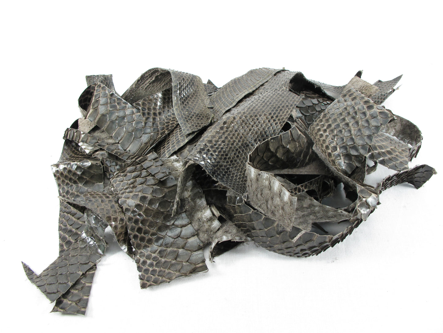 Genuine Python Snake Skin Leather Scraps Hide Pelt 100 grams