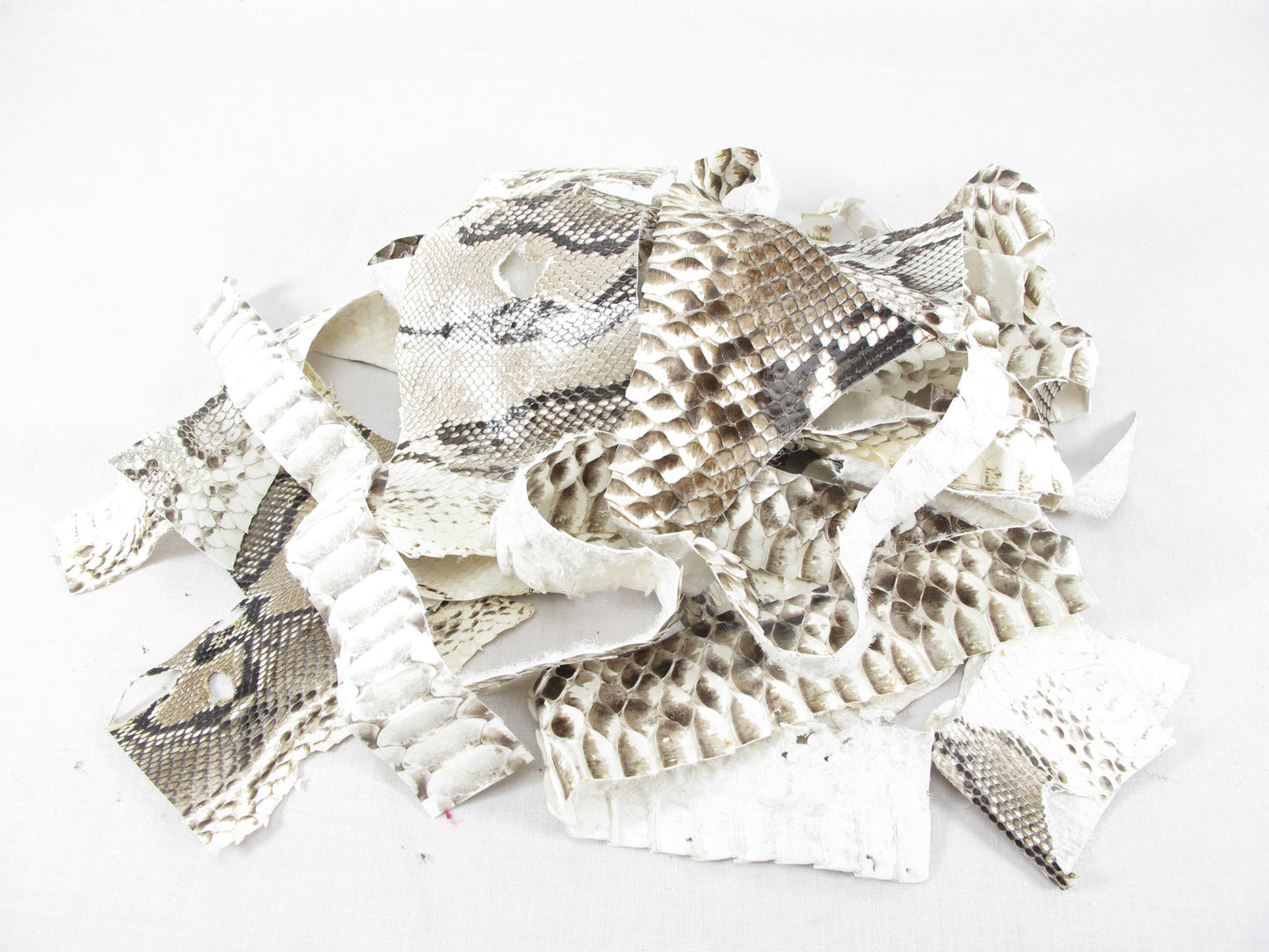 Genuine Python Snake Skin Leather Scraps Hide Pelt 100 grams