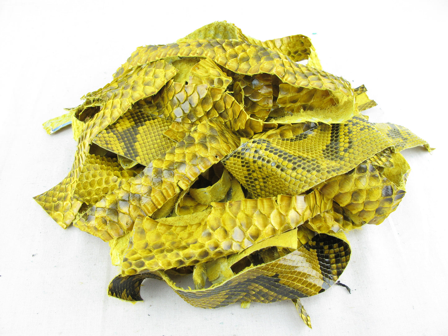 Genuine Python Snake Skin Leather Scraps Hide Pelt 100 grams