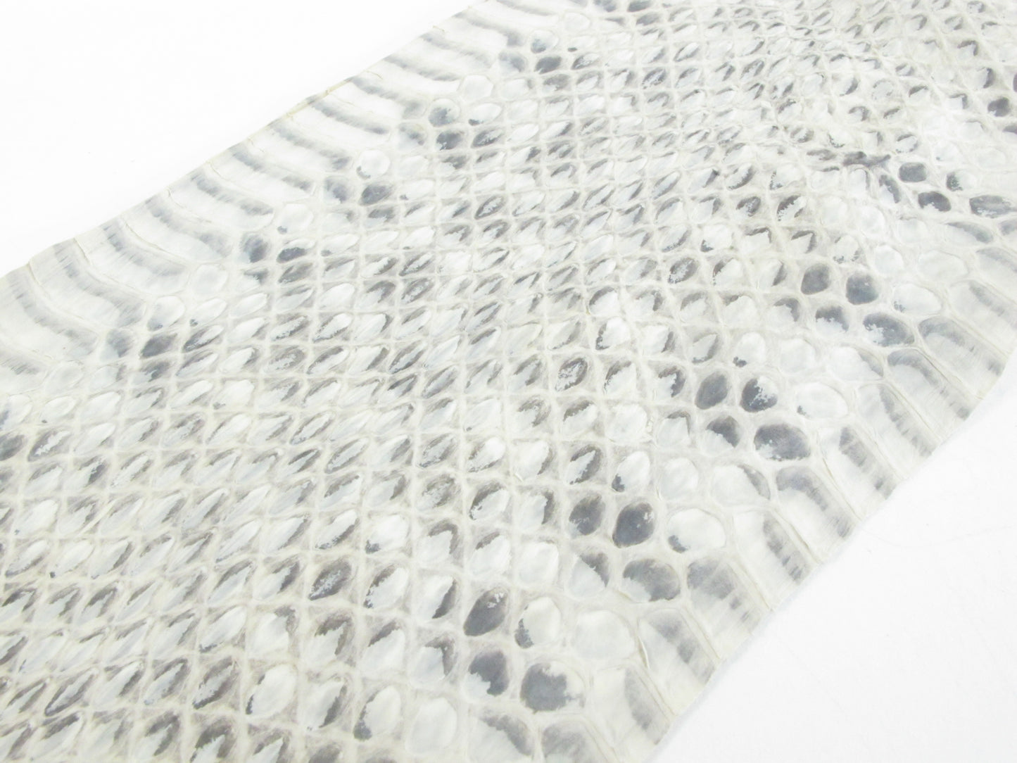 Genuine Rat Snake Skin Leather Hide Pelt