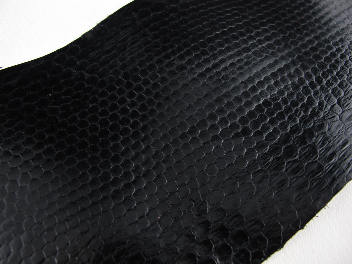 Genuine Sea Snake Skin Leather Hide Pelt