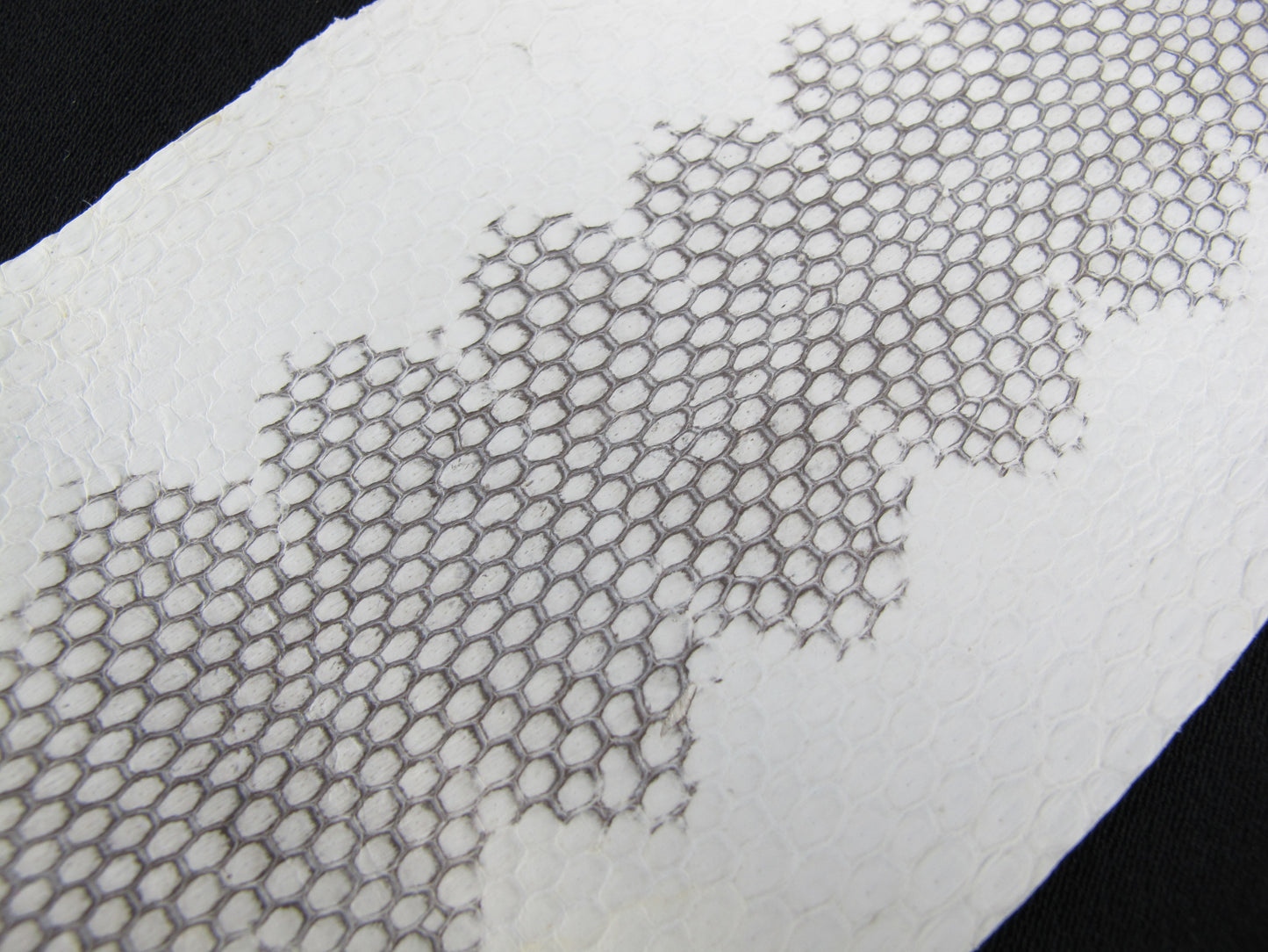 Genuine Sea Snake Skin Leather Hide Pelt