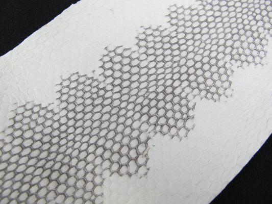 Genuine Sea Snake Skin Leather Hide Pelt